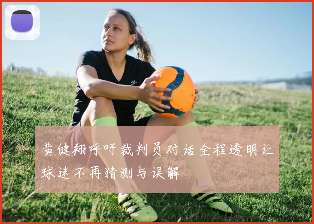 黄健翔呼吁裁判员对话全程透明让球迷不再猜测与误解